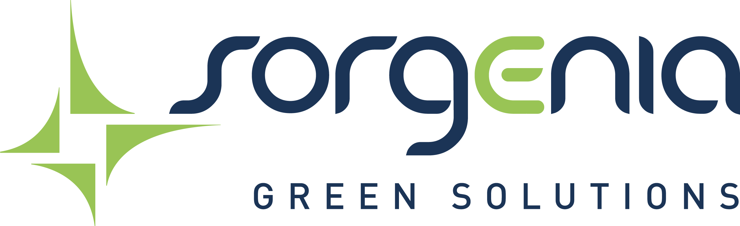 Sorgenia Green Solutions Srl