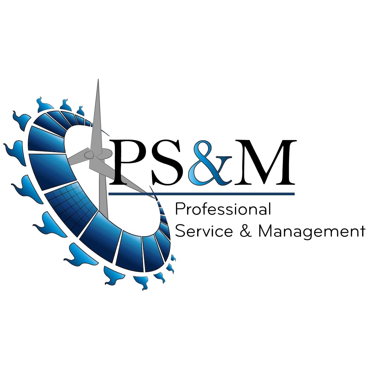 Professional Service & Management Srl