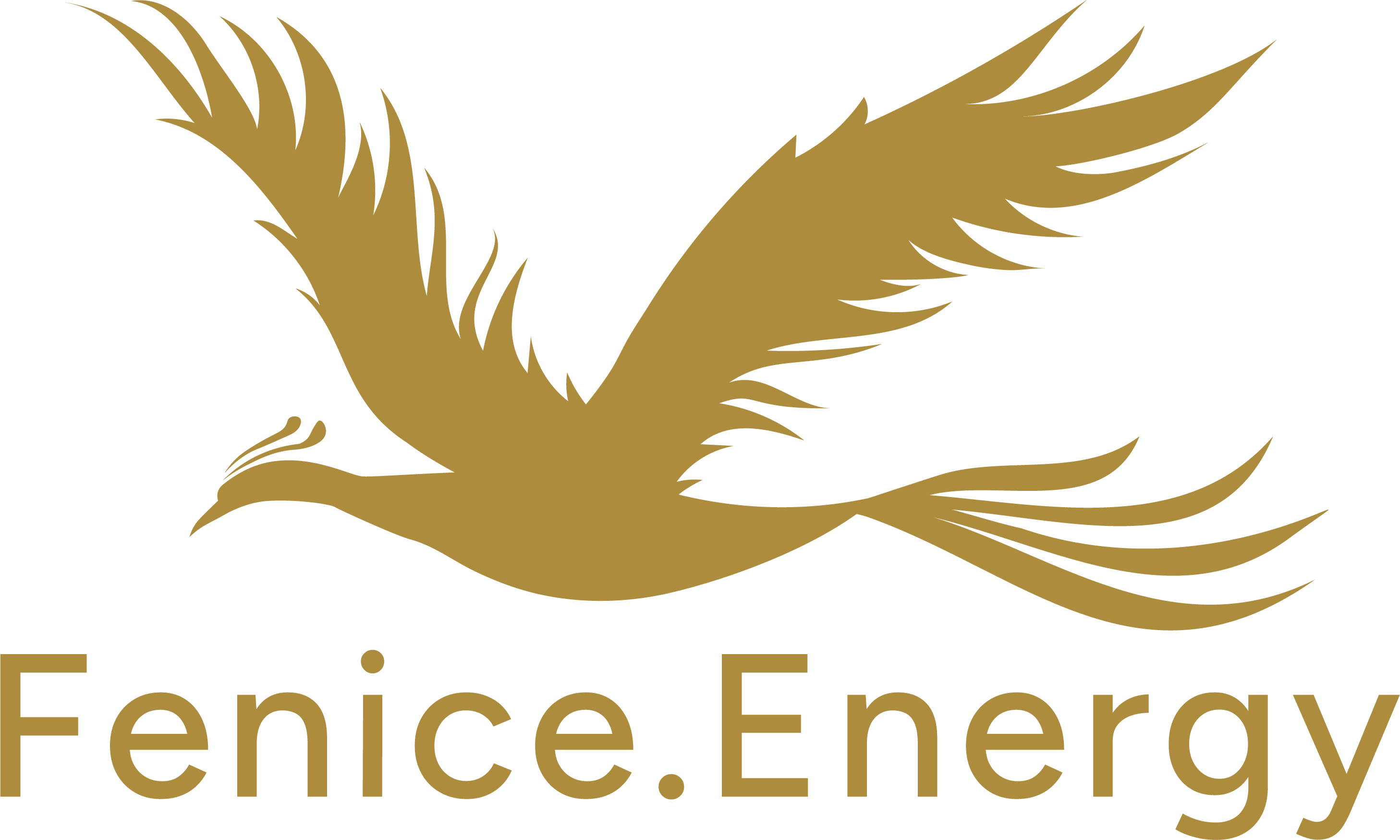 Fenice.energy Srl