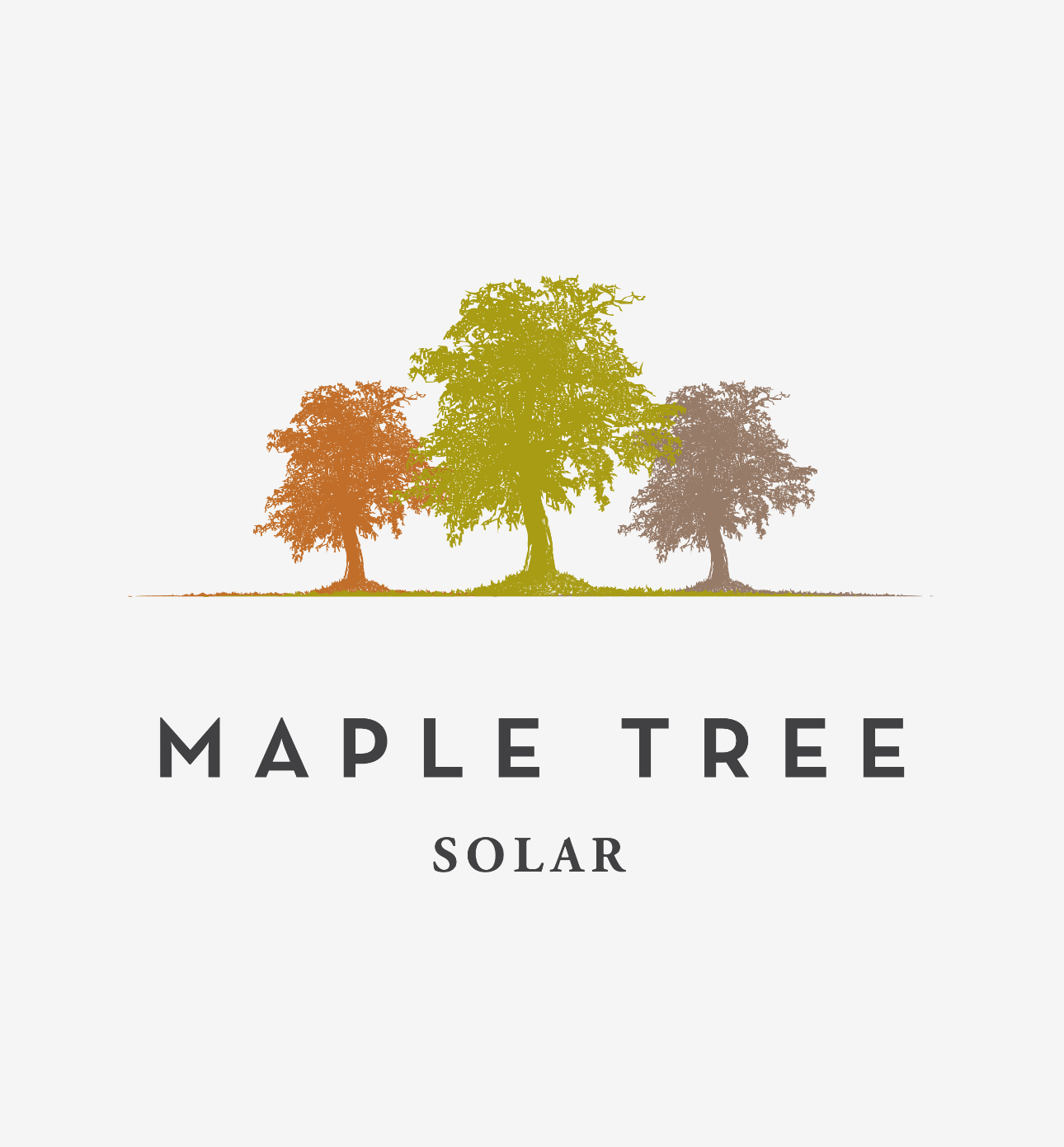 Maple Tree Solar Srl