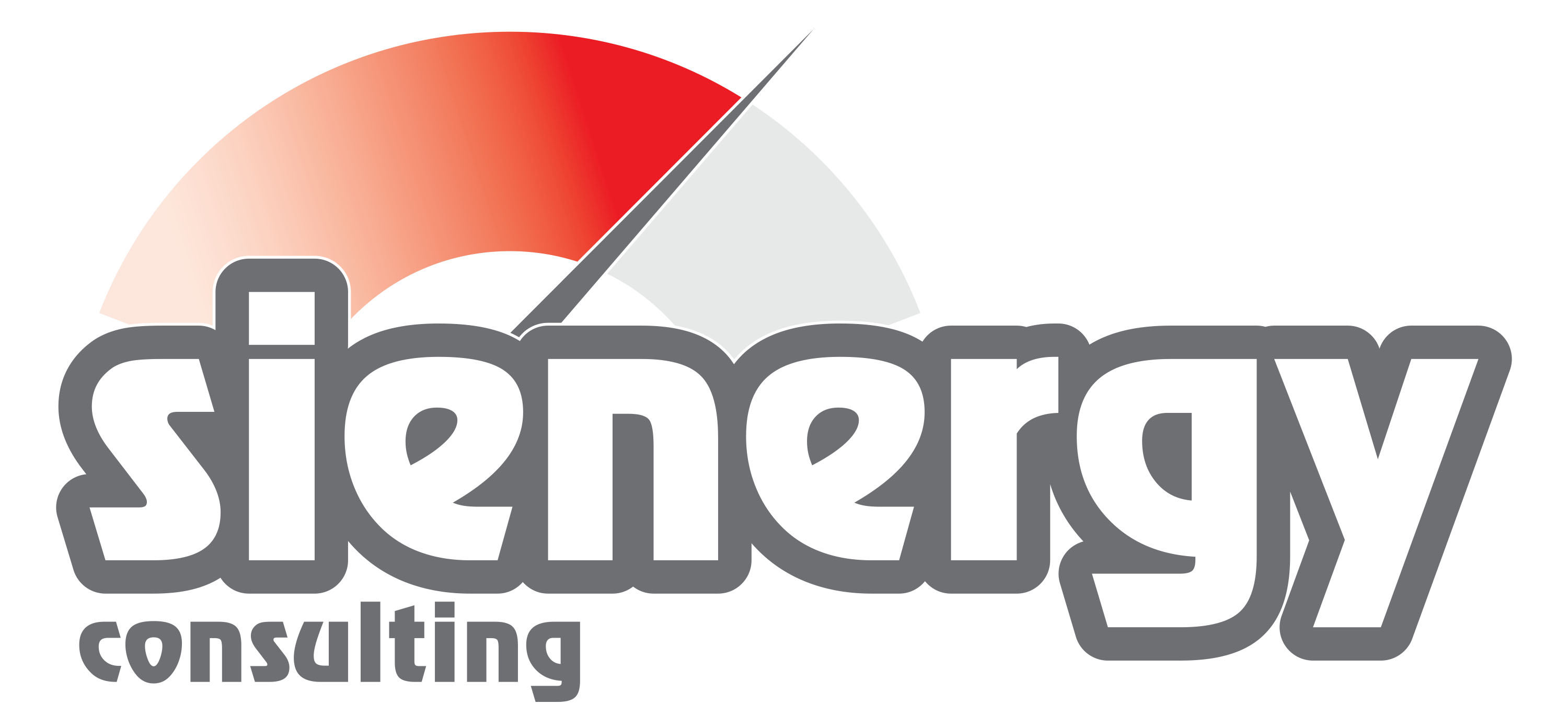 Sienergy Consulting Srl