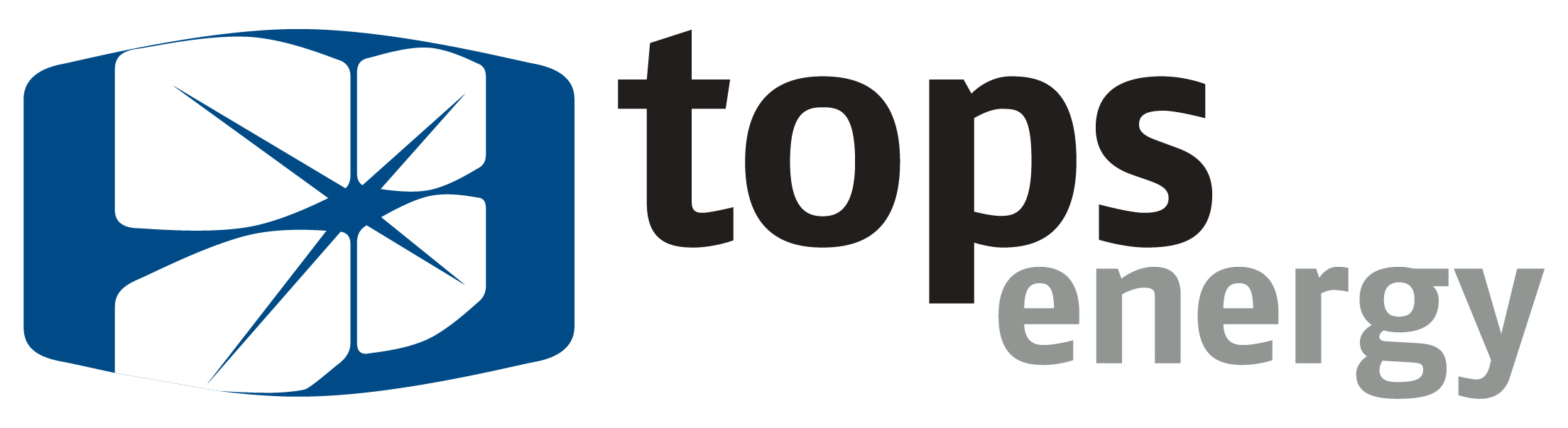 Logo dell'azienda: TOPS ENERGY SRL